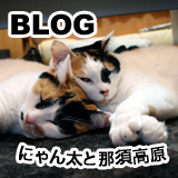 にゃん太と那須高原