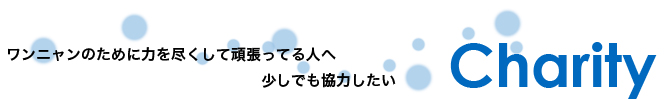 猫チャリティ