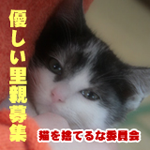 里親募集