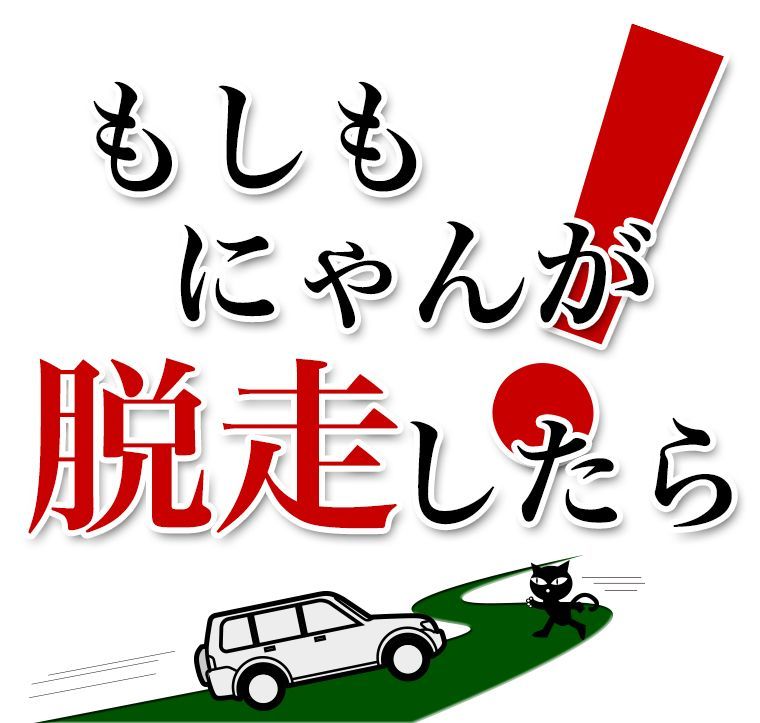 開催日決定
