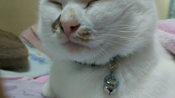 商品画像3