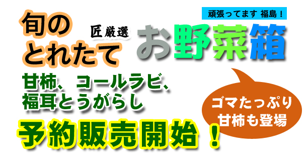 匠農園11月のお野菜箱