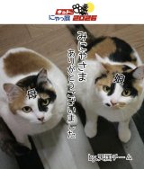 【ネットdeにゃっ展2026】終了しました！みにゃさまありがとうございましたっ！