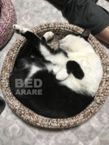【あられ缶】あられベッドフチ折りVer.（全額寄付）ブルー全サイズS/M/Lが再入荷！