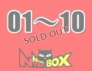 画像1: にゃんにゃんBOX(送料込み)「通常BOX 」No.1-10 (1)