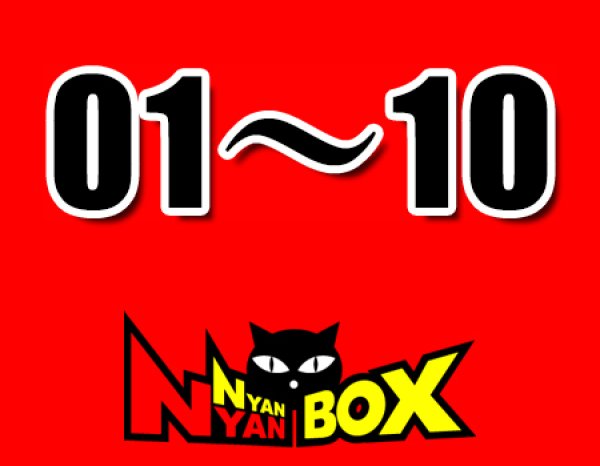 画像1: にゃんにゃんBOX(送料込み)「通常BOX 」No.1〜10 (1)