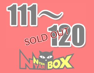 画像1: にゃんにゃんBOX(送料込み)「通常BOX 」No.111-120 (1)