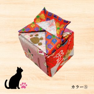 カラー(5)ハチワレ