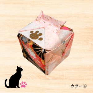 カラー(4)