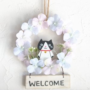 ハチワレ猫