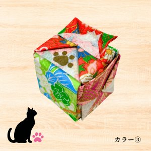 カラー(3)ハチワレ