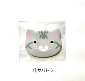 (1)サバトラ