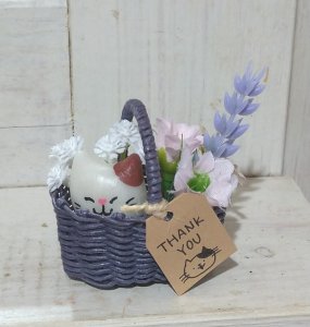 群青【茶白猫】