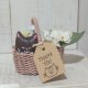 ナチュラル【茶猫】