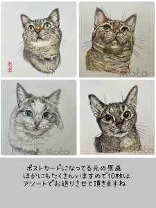 画像2: 2969. 猫のポストカード10枚セット　全額寄付 (2)