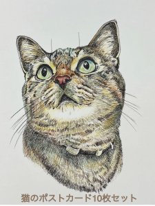 画像1: 2969. 猫のポストカード10枚セット　全額寄付 (1)