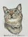 画像1: 2969. 猫のポストカード10枚セット　全額寄付 (1)