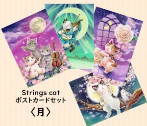 画像1: Strings cat：ポストカード4枚セット・月（一部寄付） (1)