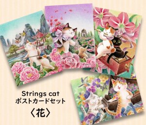 画像1: Strings cat：ポストカード4枚セット・花（一部寄付） (1)