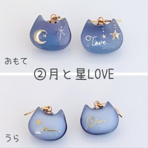 (2)月と星LOVE（ピアス）