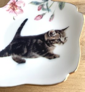 画像2: アート工房Renon：子猫と桜の小皿　その2 (2)