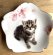 画像1: アート工房Renon：子猫と桜の小皿　その１ (1)