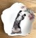 画像1: アート工房Renon：子猫と桜の小皿　その3 (1)