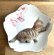 画像1: アート工房Renon：子猫と桜の小皿　その7 (1)