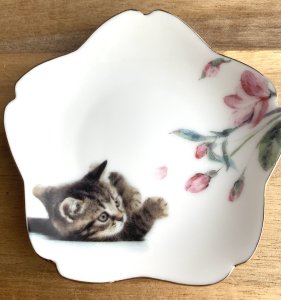 画像1: アート工房Renon：子猫と桜の小皿　その5 (1)