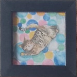 画像1: catanoryneco：まどろみ猫ームギ（一部寄付） (1)