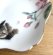 画像2: アート工房Renon：子猫と桜の小皿　その5 (2)