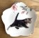 画像1: アート工房Renon：子猫と桜の小皿　その2 (1)