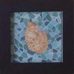 画像1: catanoryneco：まどろみ猫ーウスチャトラ（一部寄付） (1)