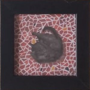 画像1: catanoryneco：まどろみ猫ークロ（一部寄付） (1)