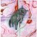 画像2: catanoryneco：まどろみ猫ーグレイ（一部寄付） (2)