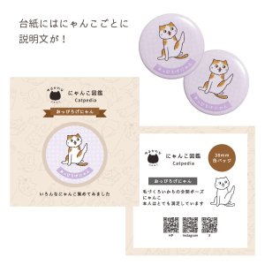 画像6: 向日葵きのこ：缶バッジ　にゃんこ図鑑　38mm　選べる10種 (6)