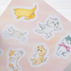 画像5: 向日葵きのこ：B6シール　クリア　ゆるかわにゃんこ（一部寄付） (5)