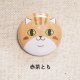 赤茶とら