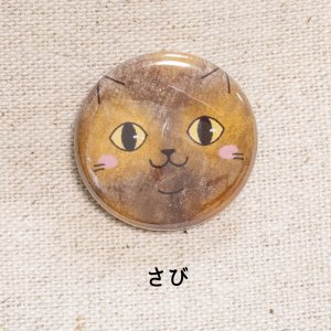 さび