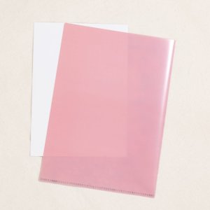 画像6: 向日葵きのこ：クリアファイル　A5サイズ　選べる2種（一部寄付） (6)