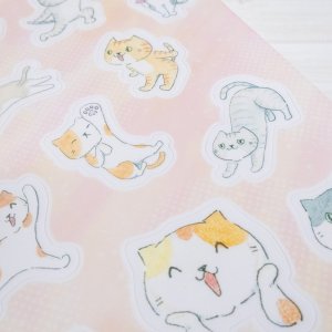 画像4: 向日葵きのこ：B6シール　クリア　ゆるかわにゃんこ（一部寄付） (4)