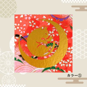 カラー(5)