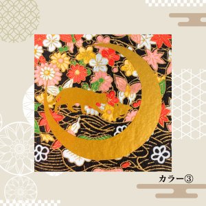 カラー(3)