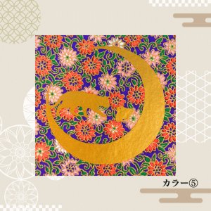 カラー(5)