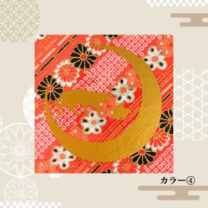 カラー(4)