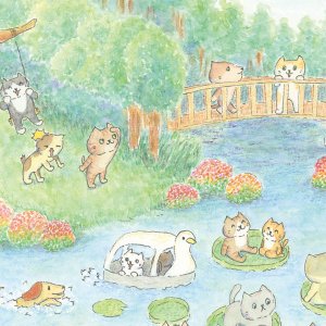 画像5: 向日葵きのこ：ポストカード　縦タイプ　ハスの池 (5)