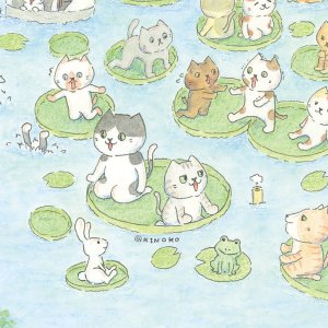 画像3: 向日葵きのこ：ポストカード　縦タイプ　ハスの池 (3)