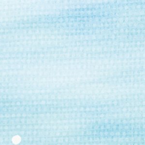 画像7: 向日葵きのこ：ポストカード　縦タイプ　ちんあなご (7)