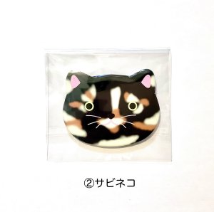 (2)サビネコ