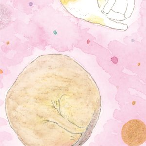 画像8: 向日葵きのこ：ポストカード　縦タイプ　あんもにゃいと (8)